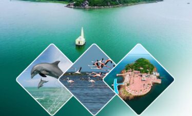 Chilika Lake Tour | Dolphin Watching & Boat Ride